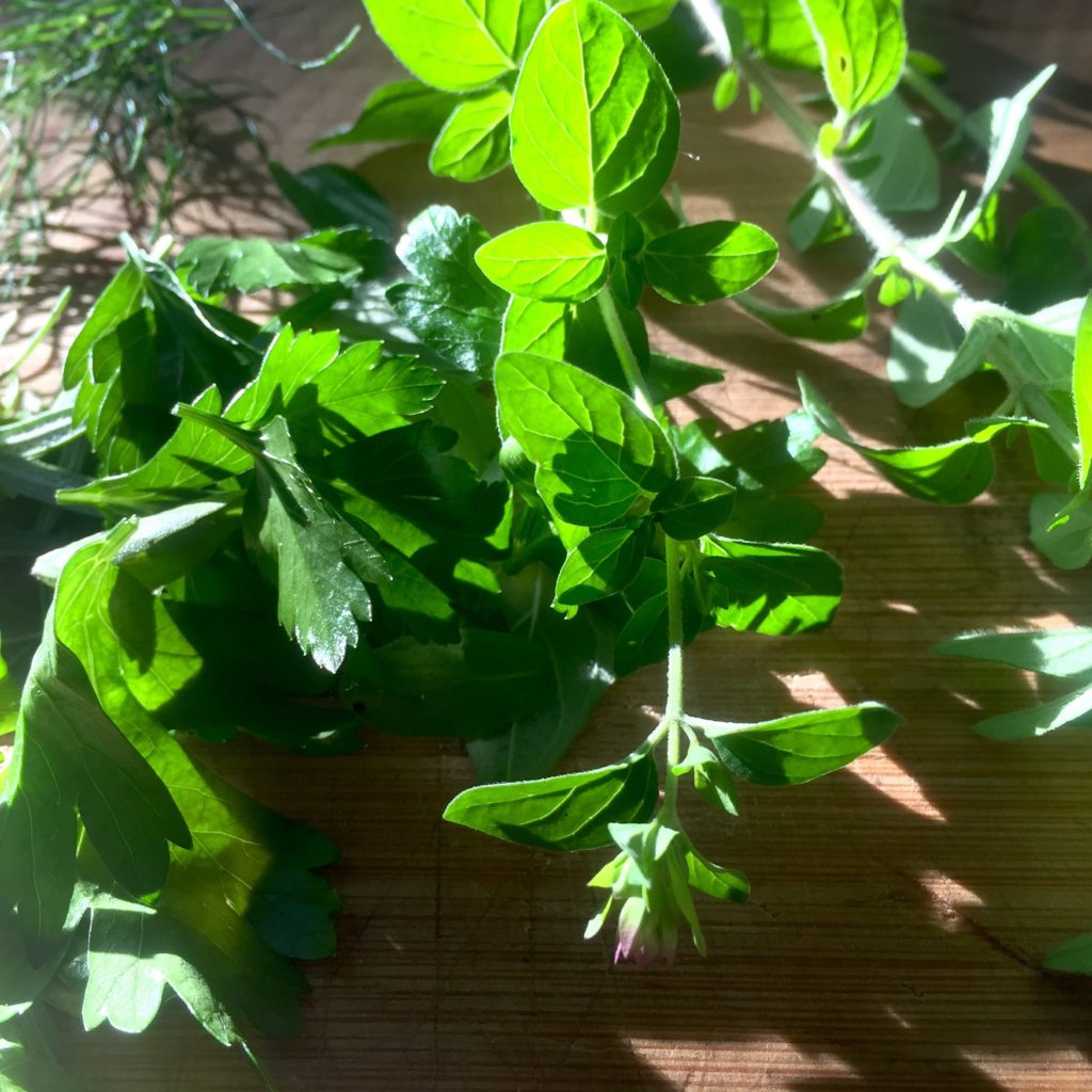 Home-ground Herbs