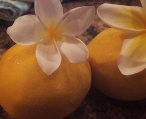 Fresh Lemons and Plumeria
