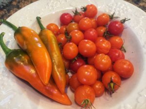 Chili peppers and sungold tomatoes