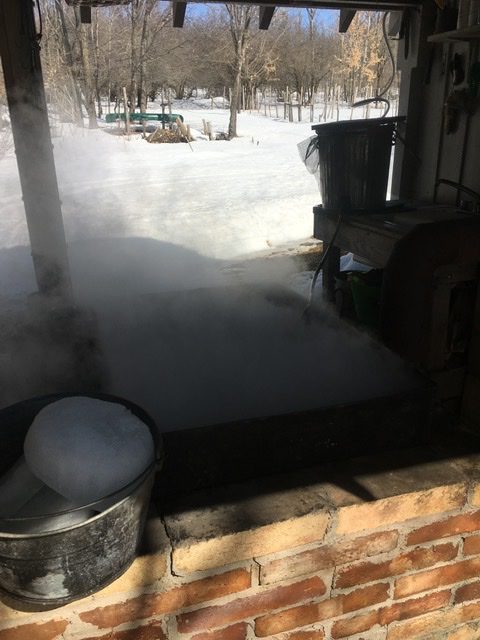 Boiling maple sap into syrup