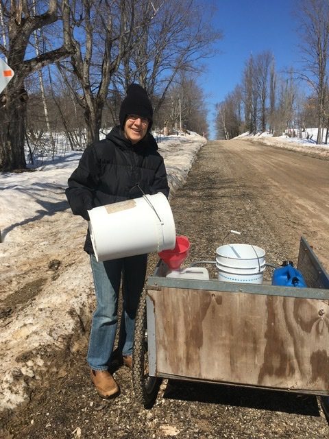 Momma collecting maple sap