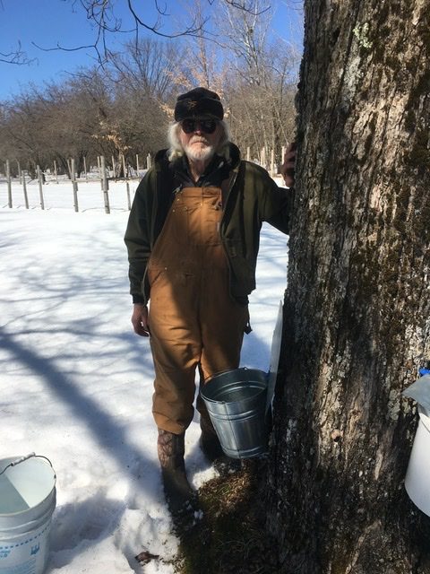 Dad tapping trees for syrup